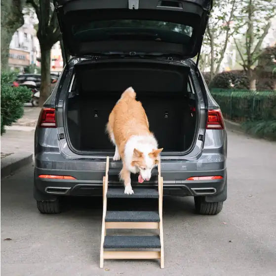 Foldable 4-Tier Wooden Pet Stairs & Ramp – Portable Dog Steps for Beds & Cars, Supports Up to 110 lbs - Hot deals wave - 23255779