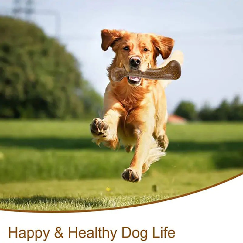 Dogs Durable Bone Chew Toys