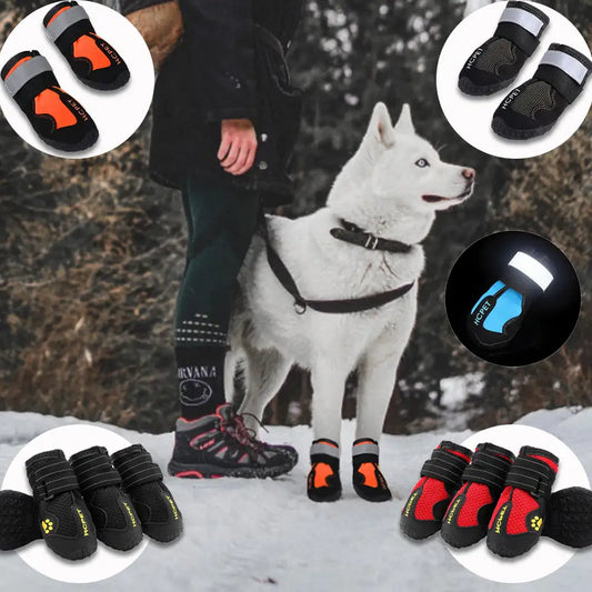 Waterproof reflective dog boots providing paw protection in wet weather
