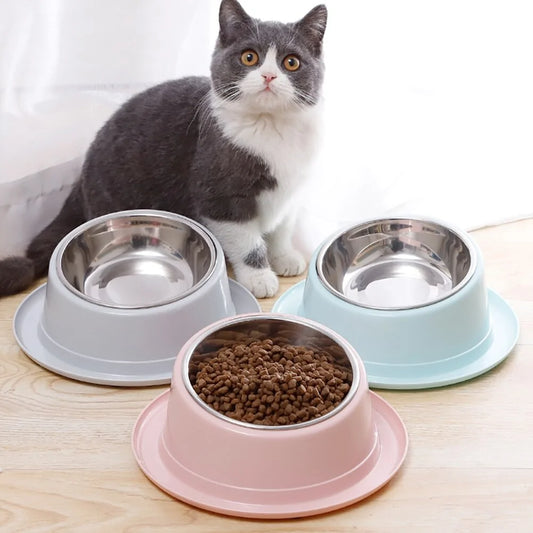 Non-slip anti-spill dog and cat bowl in stainless steel