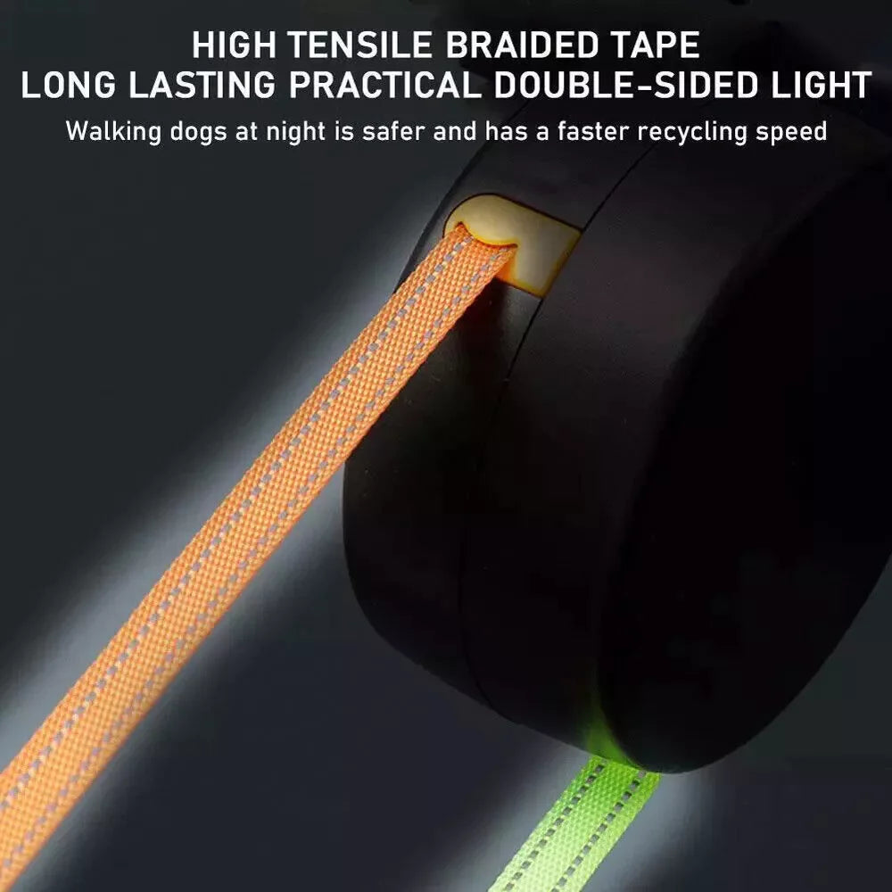 Dog leash with built-in poop bag holder for convenience