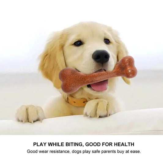 Dogs Durable Bone Chew Toys