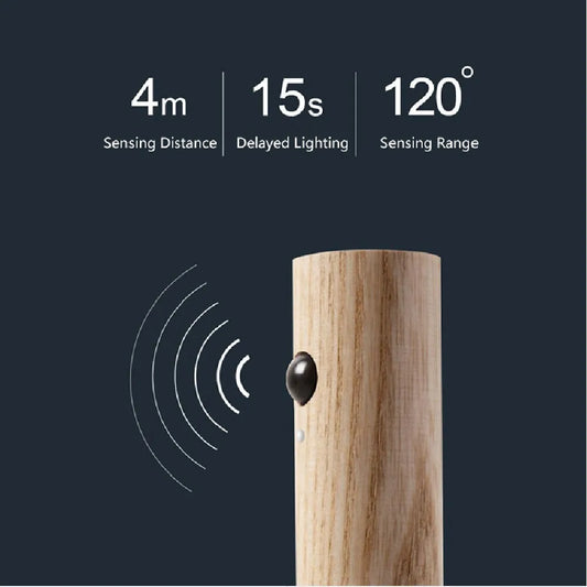 Night Light Motion Sensor